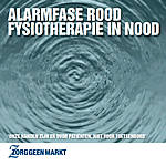 omslag rapport fysiotherapie in nood