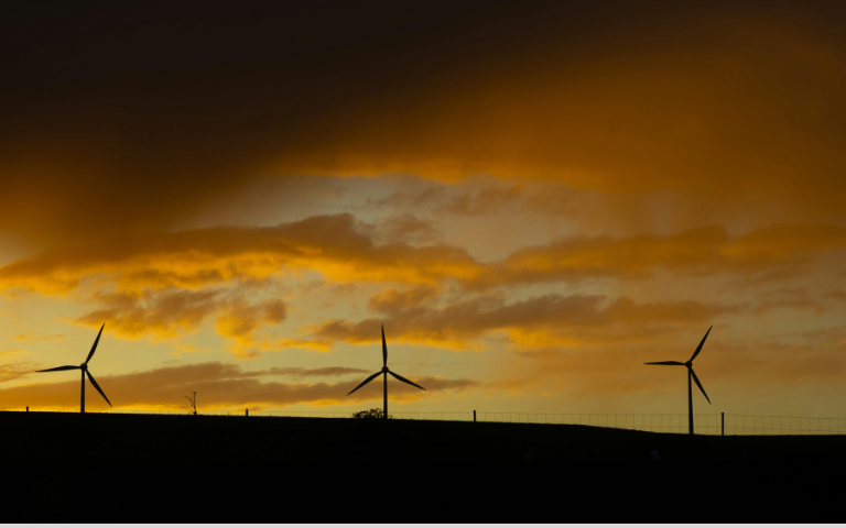 De beroepseer van de consultant transitiekunde